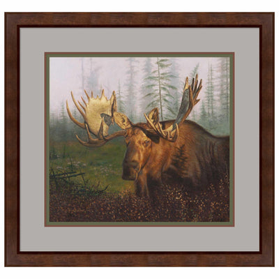 Early Morning Moose Limited Edition Paper Print - Wild Wings