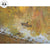 Edge of a Pond Original Oil Painting - Wild Wings