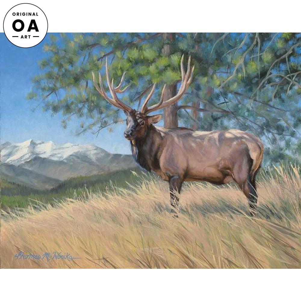 Elk Study Original Oil Painting - Wild Wings