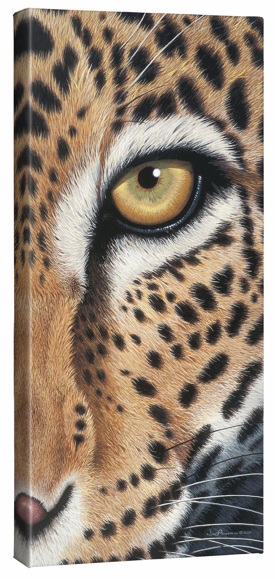 Faceoff—Leopard Gallery Wrapped Canvas - Wild Wings