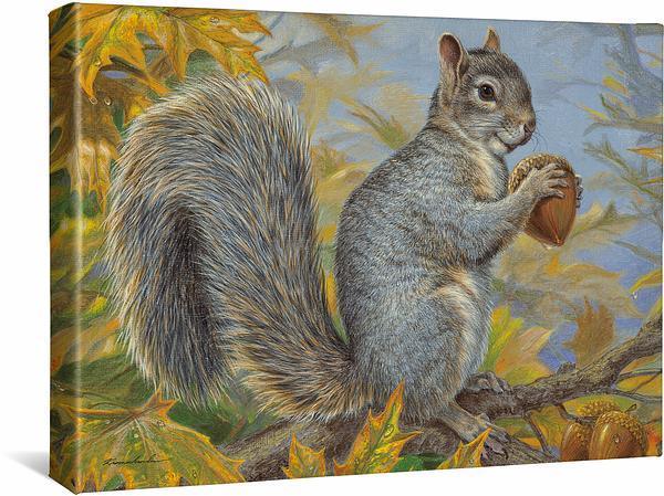 Fall Prize—Squirrel Gallery Wrapped Canvas - Wild Wings