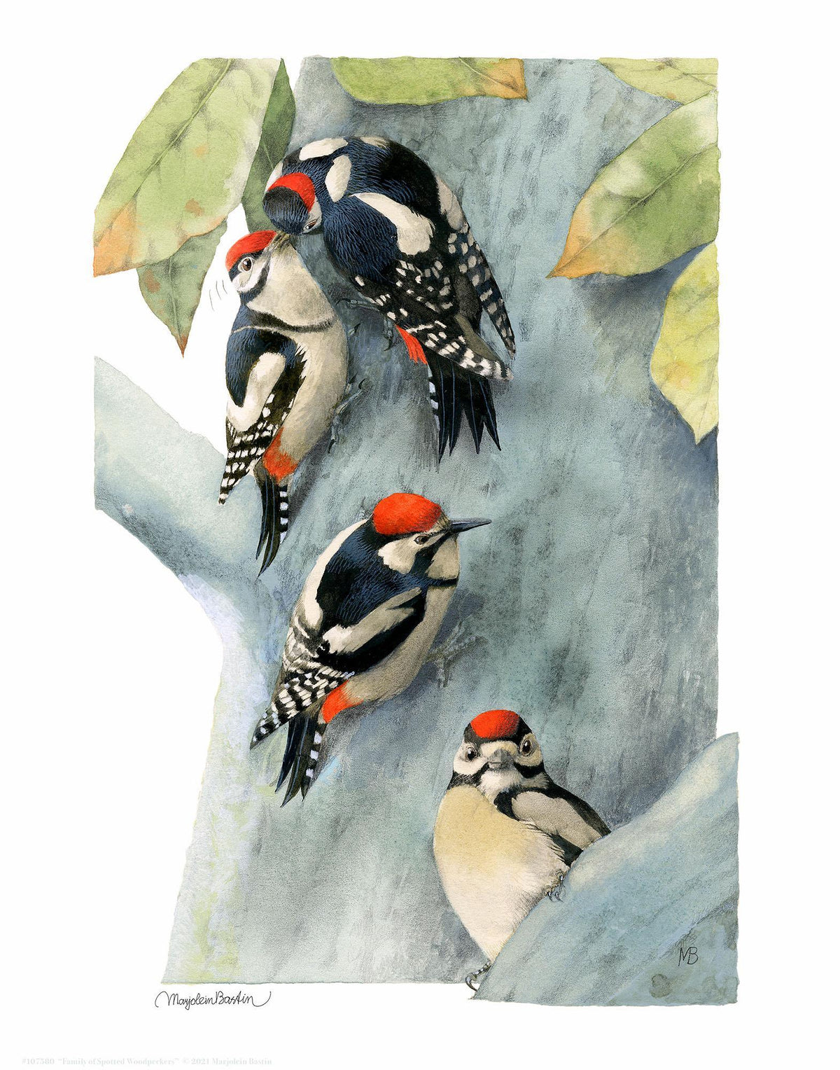 Family of Spotted Woodpeckers Art Collection - Wild Wings