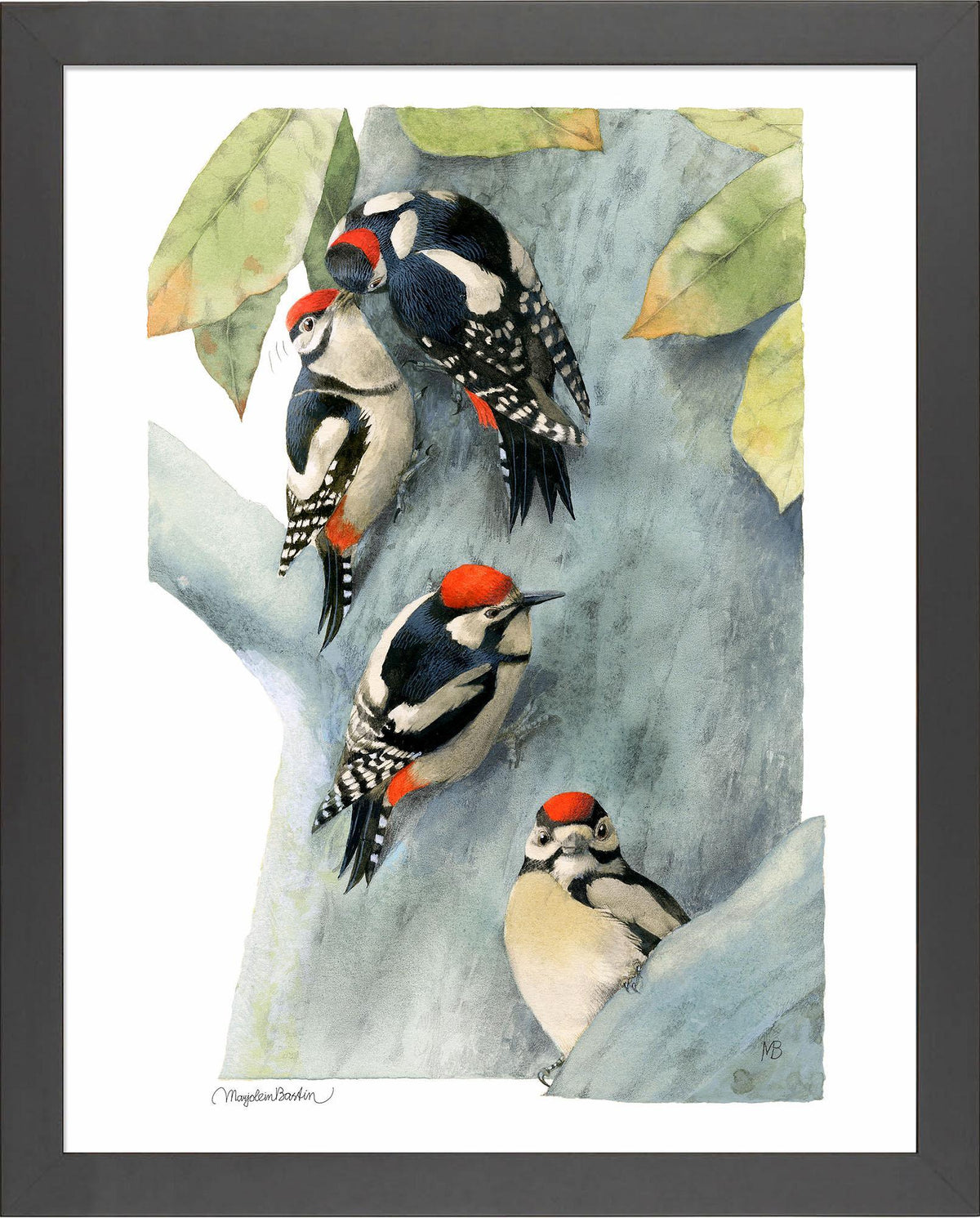 Family of Spotted Woodpeckers Art Collection - Wild Wings