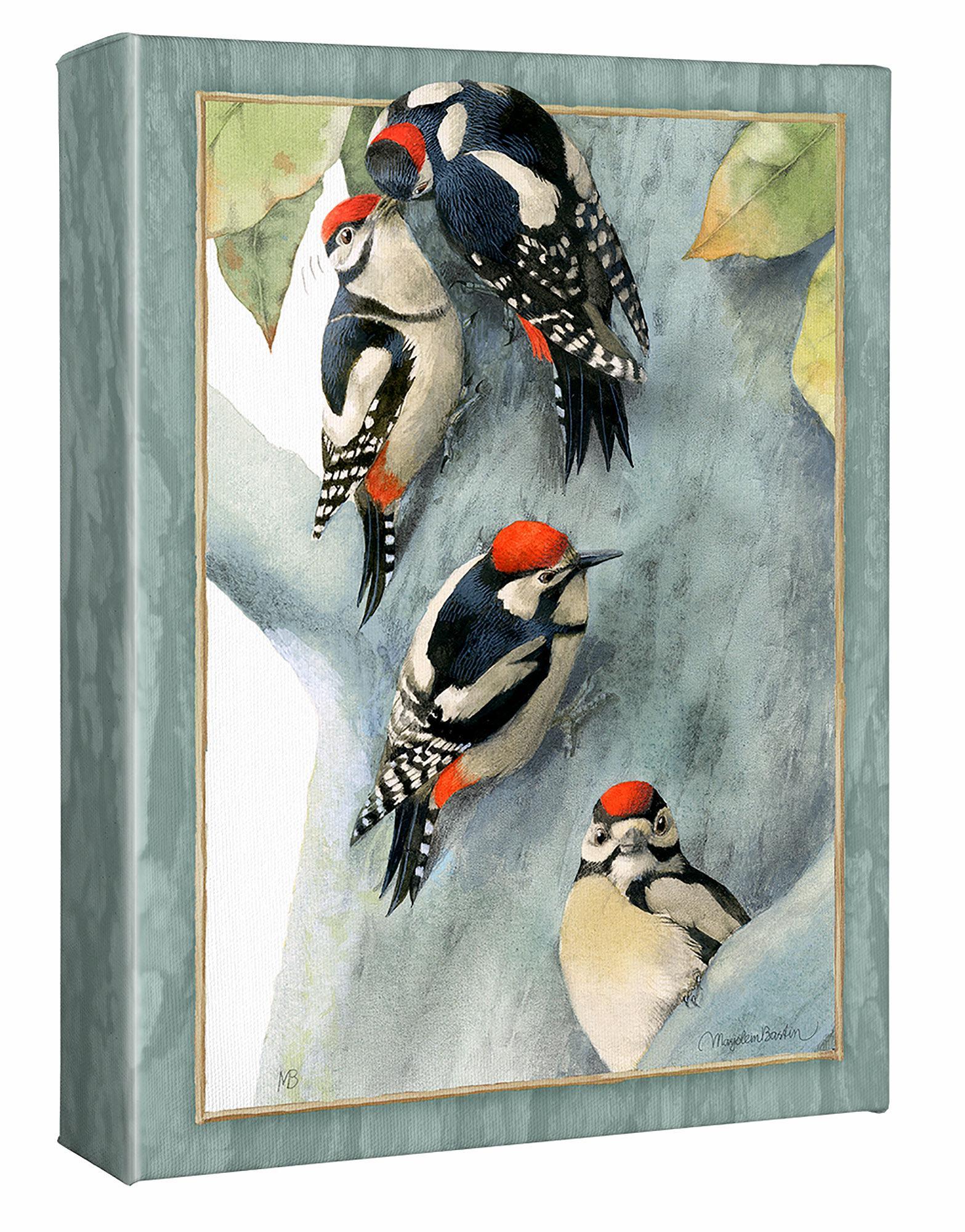 Family of Spotted Woodpeckers Gallery Wrapped Canvas - Wild Wings
