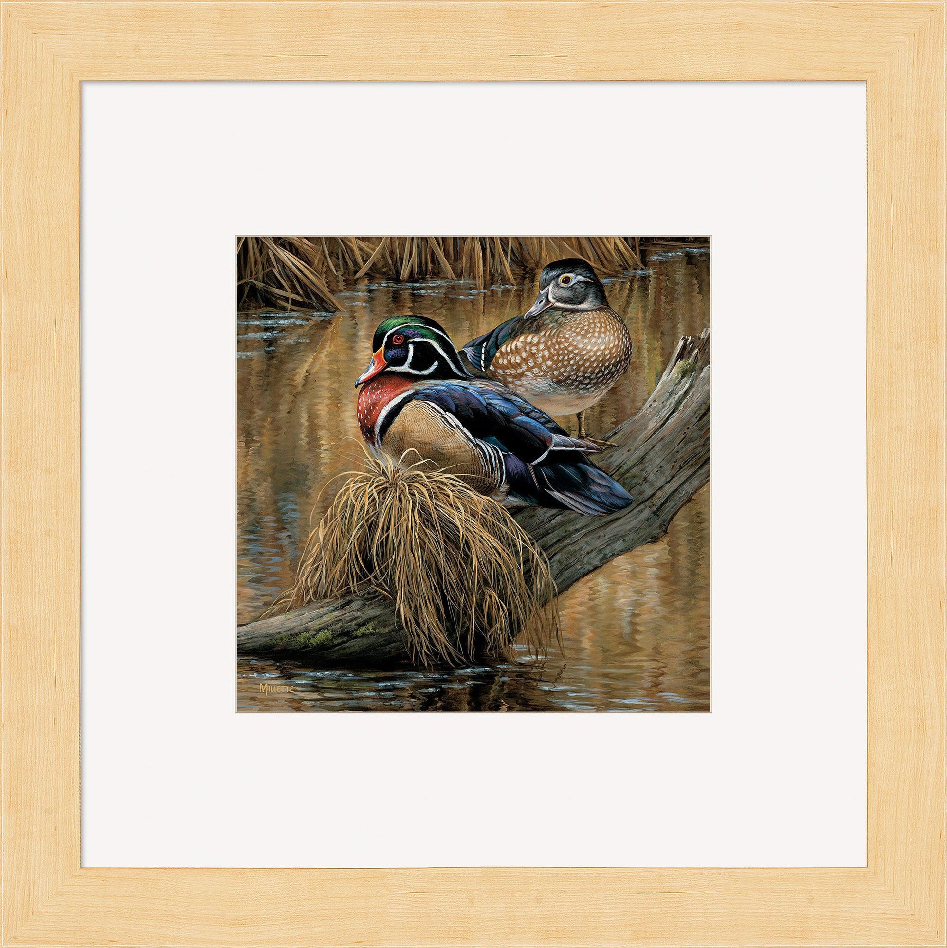 Backwater—Wood Ducks Contempo Square - Wild Wings