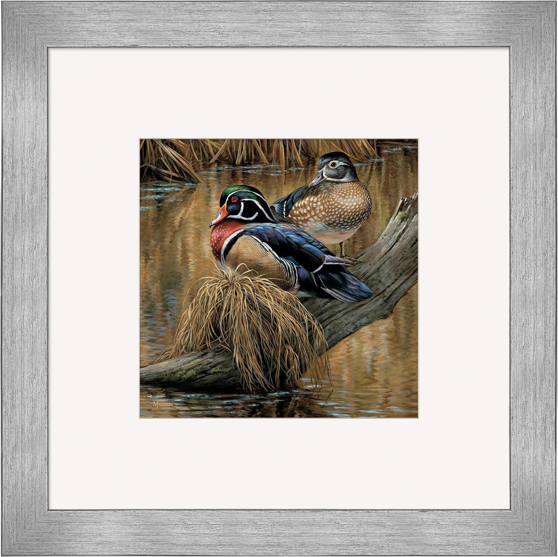 Backwater—Wood Ducks Contempo Square - Wild Wings