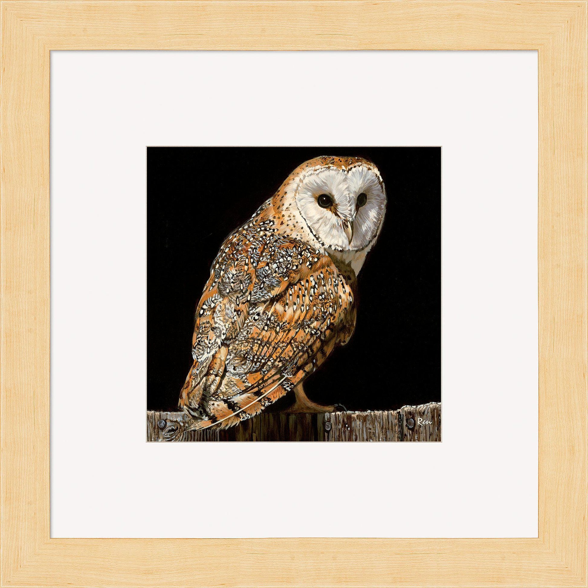 Barn Owl Contempo Square - Wild Wings