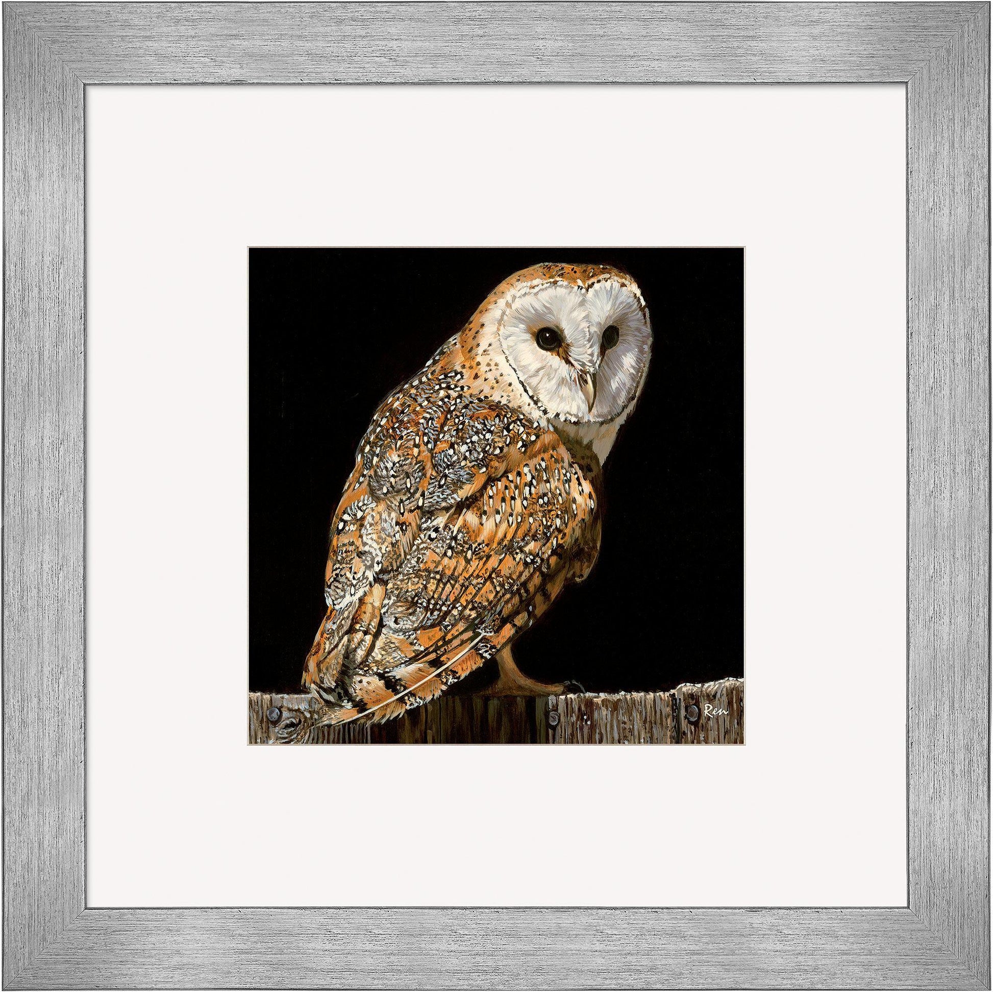 Barn Owl Contempo Square - Wild Wings