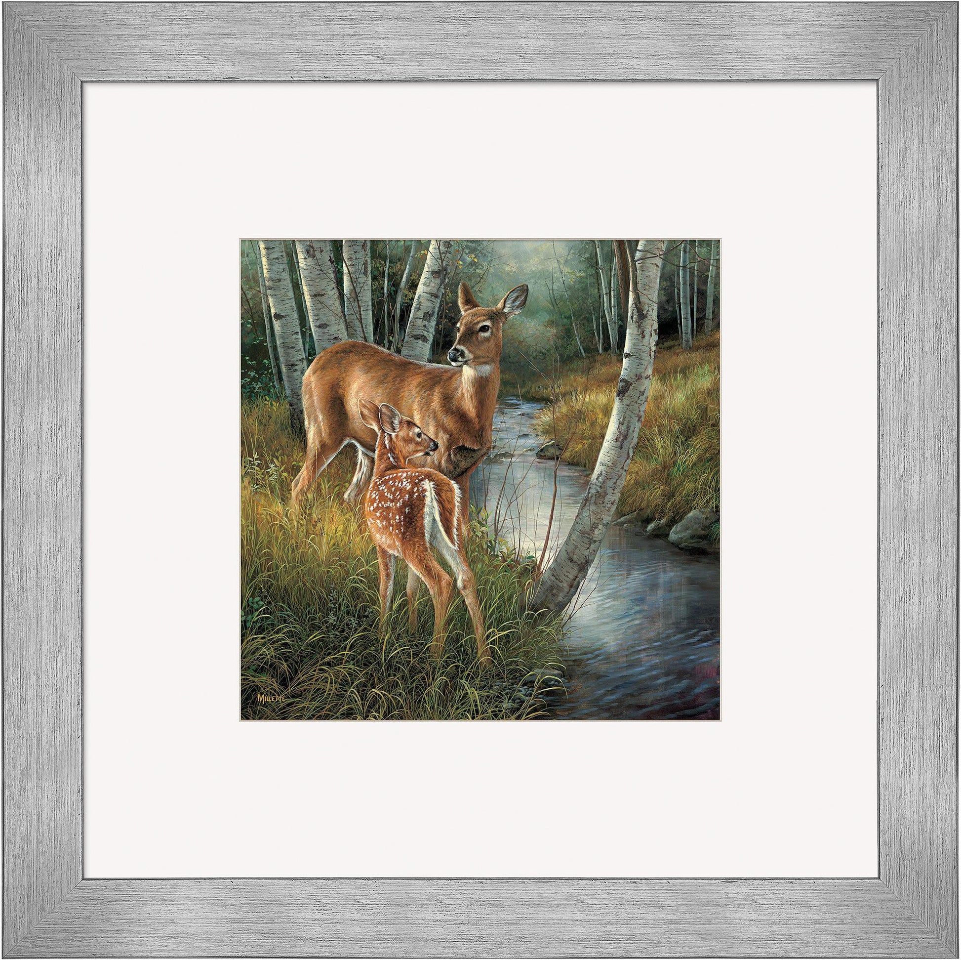 Birch Creek—Whitetail Deer Contempo Square - Wild Wings