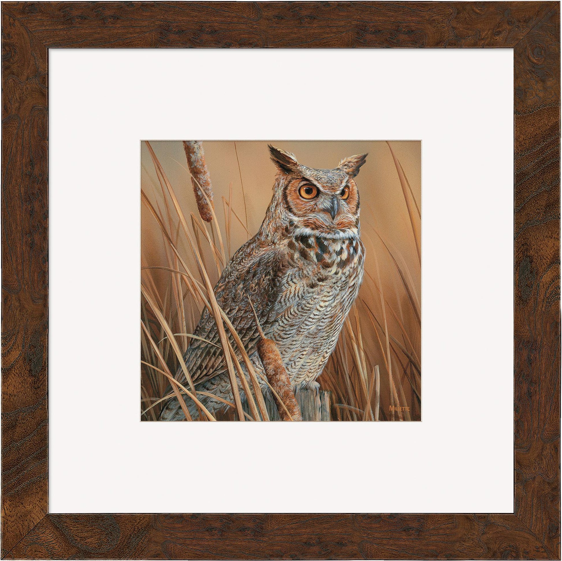 Great Horned Owl Contempo Square - Wild Wings