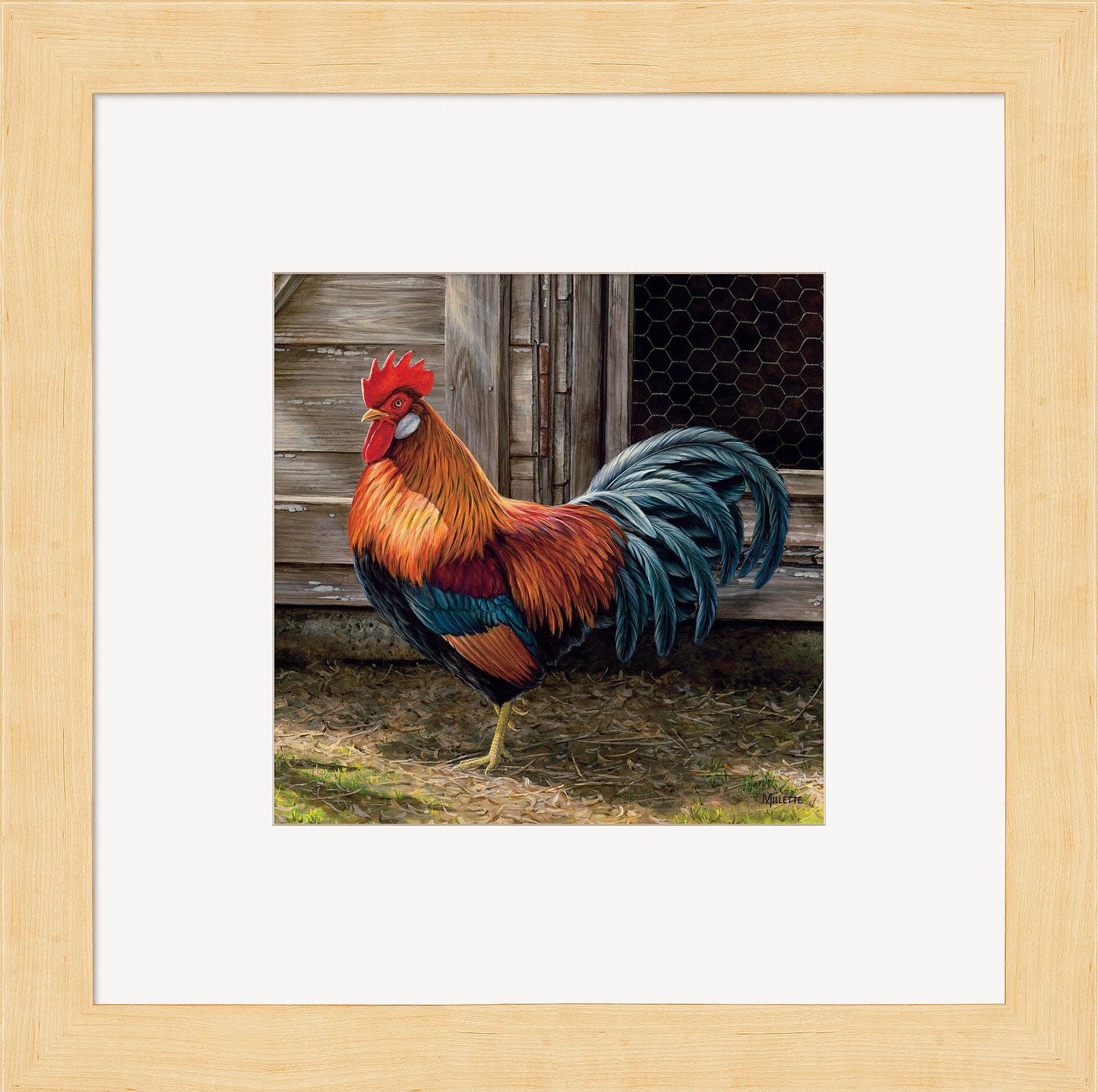 Leghorn Rooster Contempo Square - Wild Wings