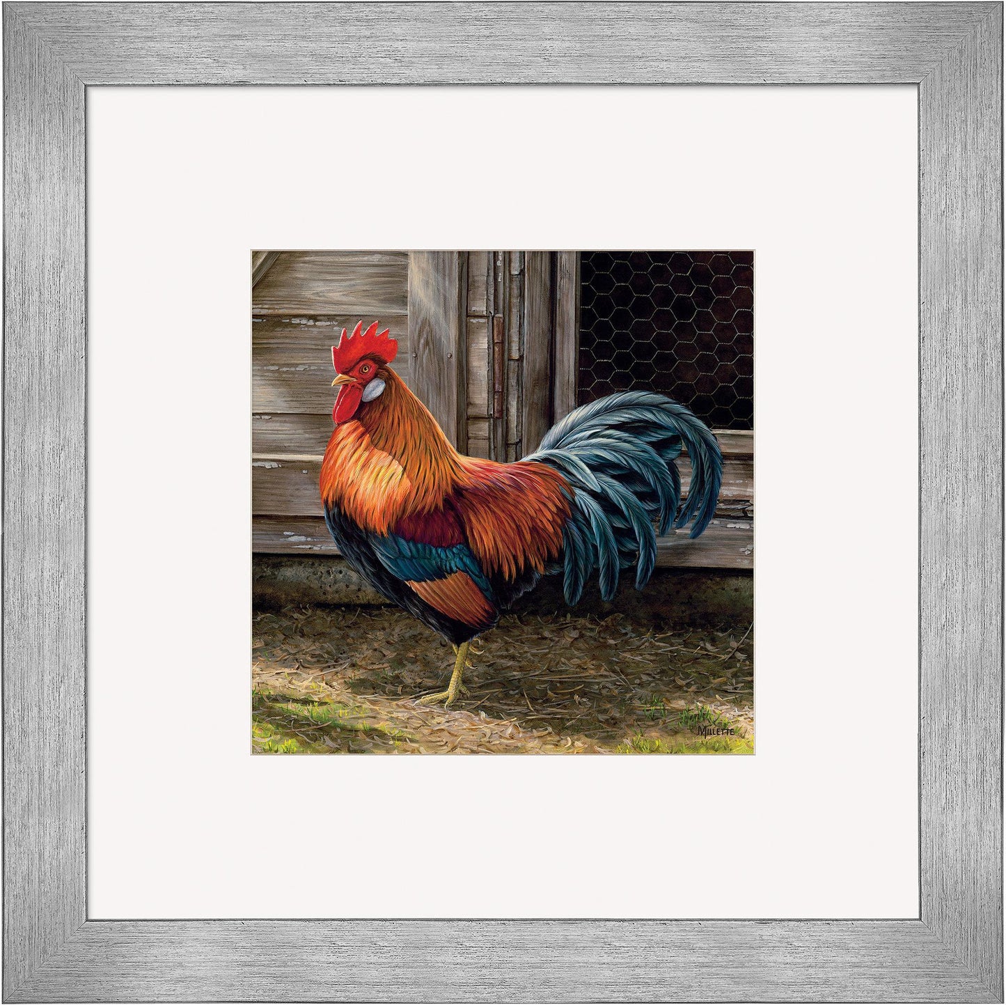 Leghorn Rooster Contempo Square - Wild Wings