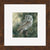 Screech Owl Contempo Square - Wild Wings