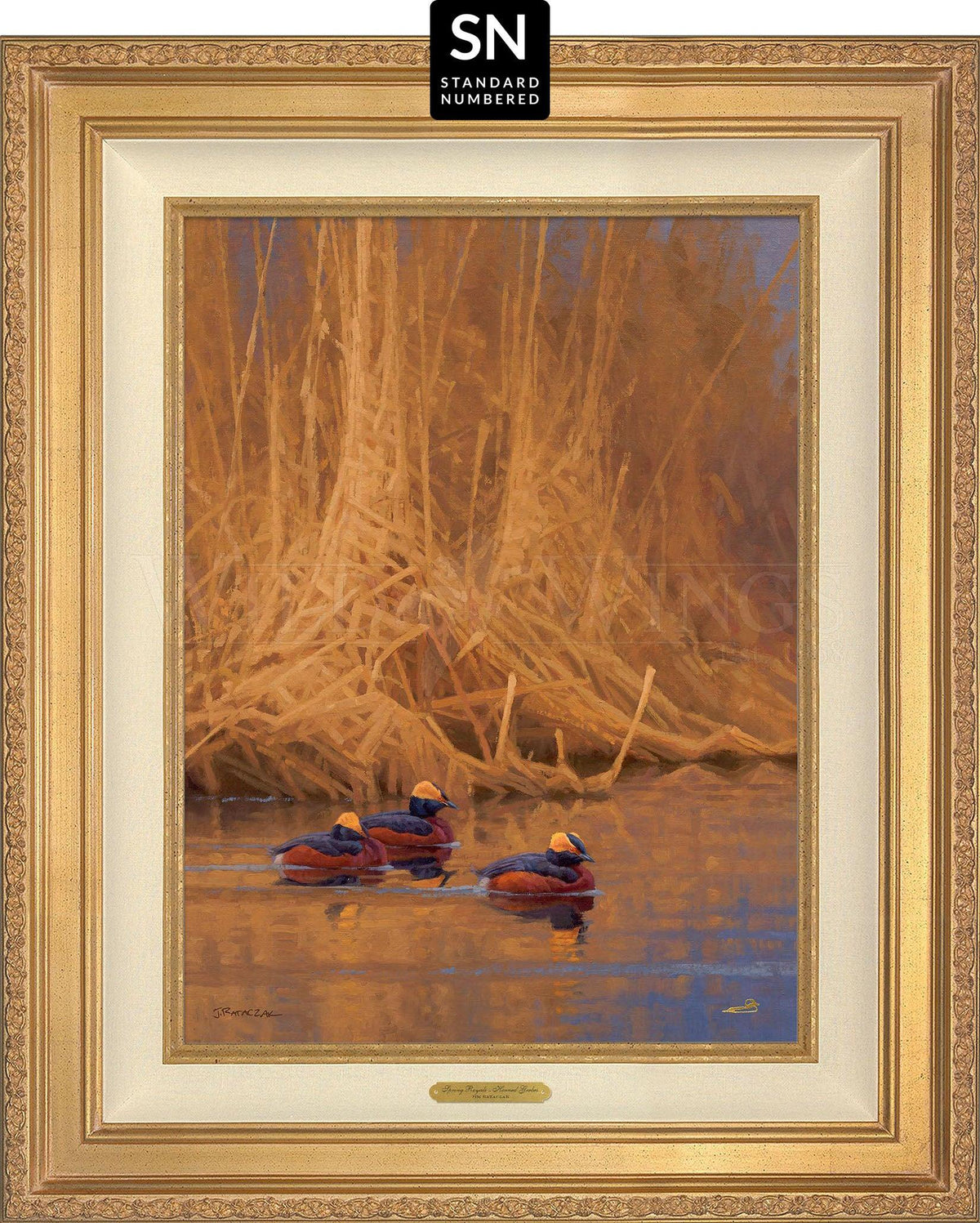 Spring Royals—Horned Grebes; Standard Numbered Edition (SN) Master Artisan Canvas - Wild Wings