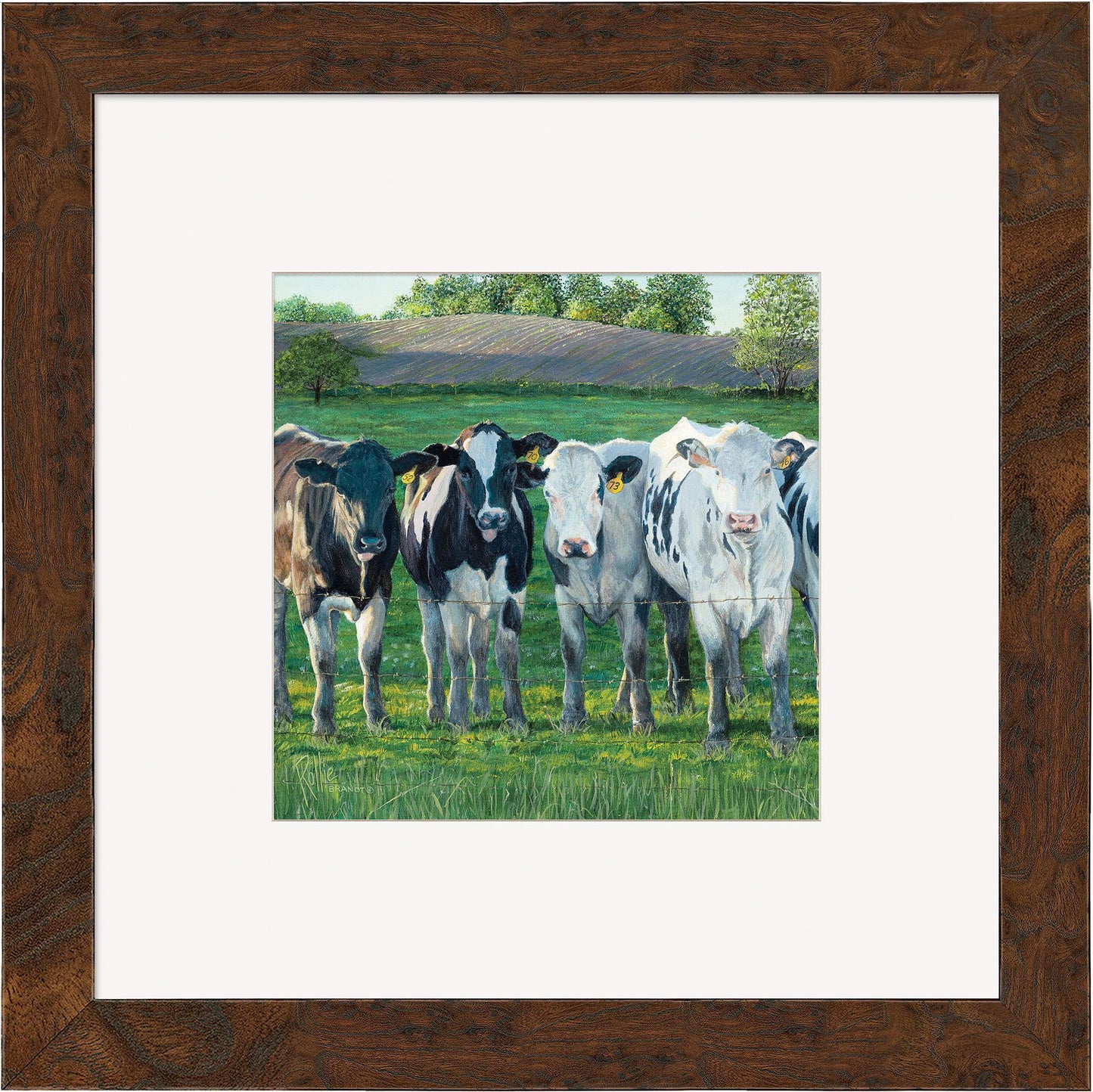 The Evening Moos Framed Print - Wild Wings
