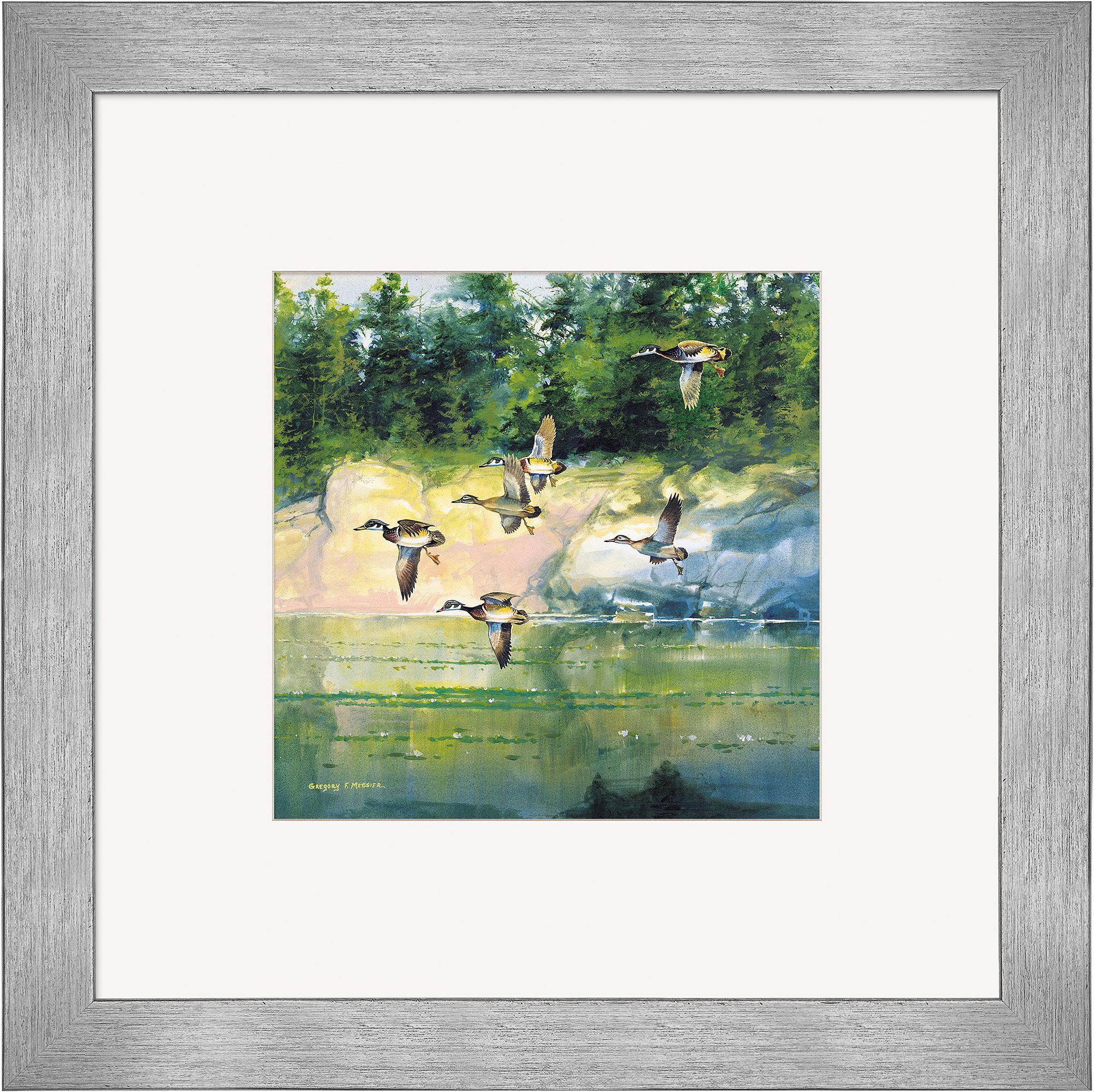 The Woodies Wood Ducks Framed Print Wild Wings