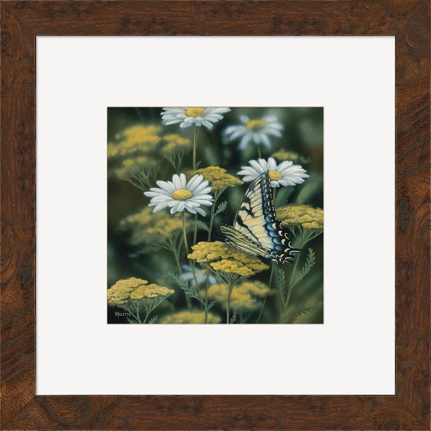 Tiger Swallowtail—Butterfly Contempo Square - Wild Wings