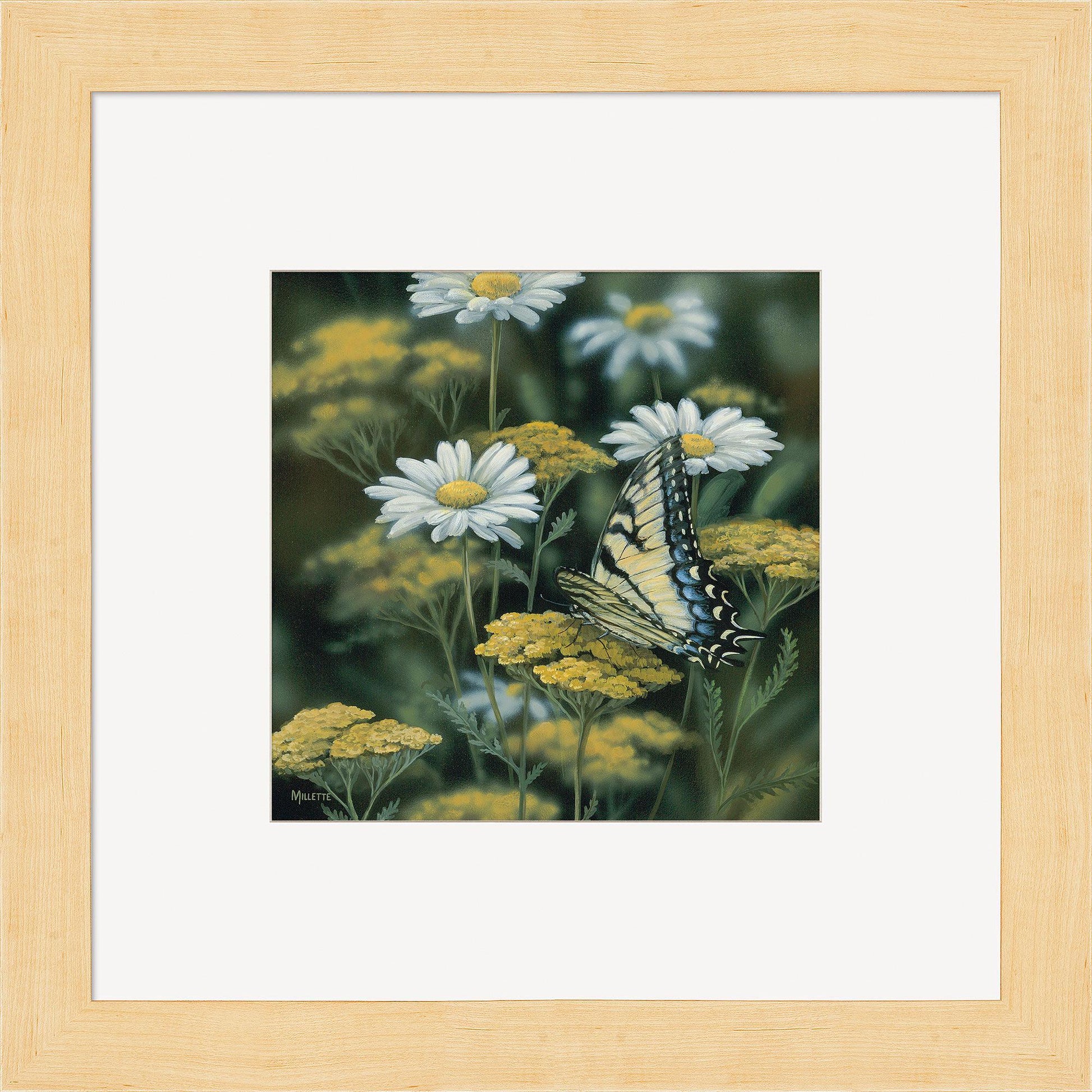 Tiger Swallowtail—Butterfly Contempo Square - Wild Wings