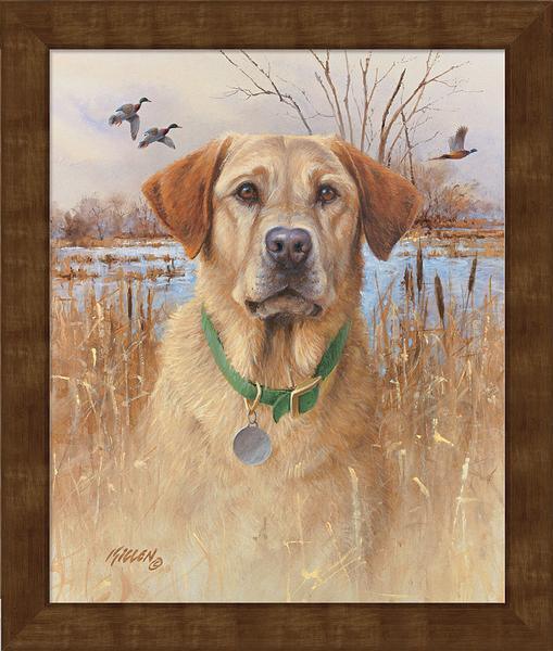 Top Dog—Yellow Lab Personalized Framed Canvas - Wild Wings
