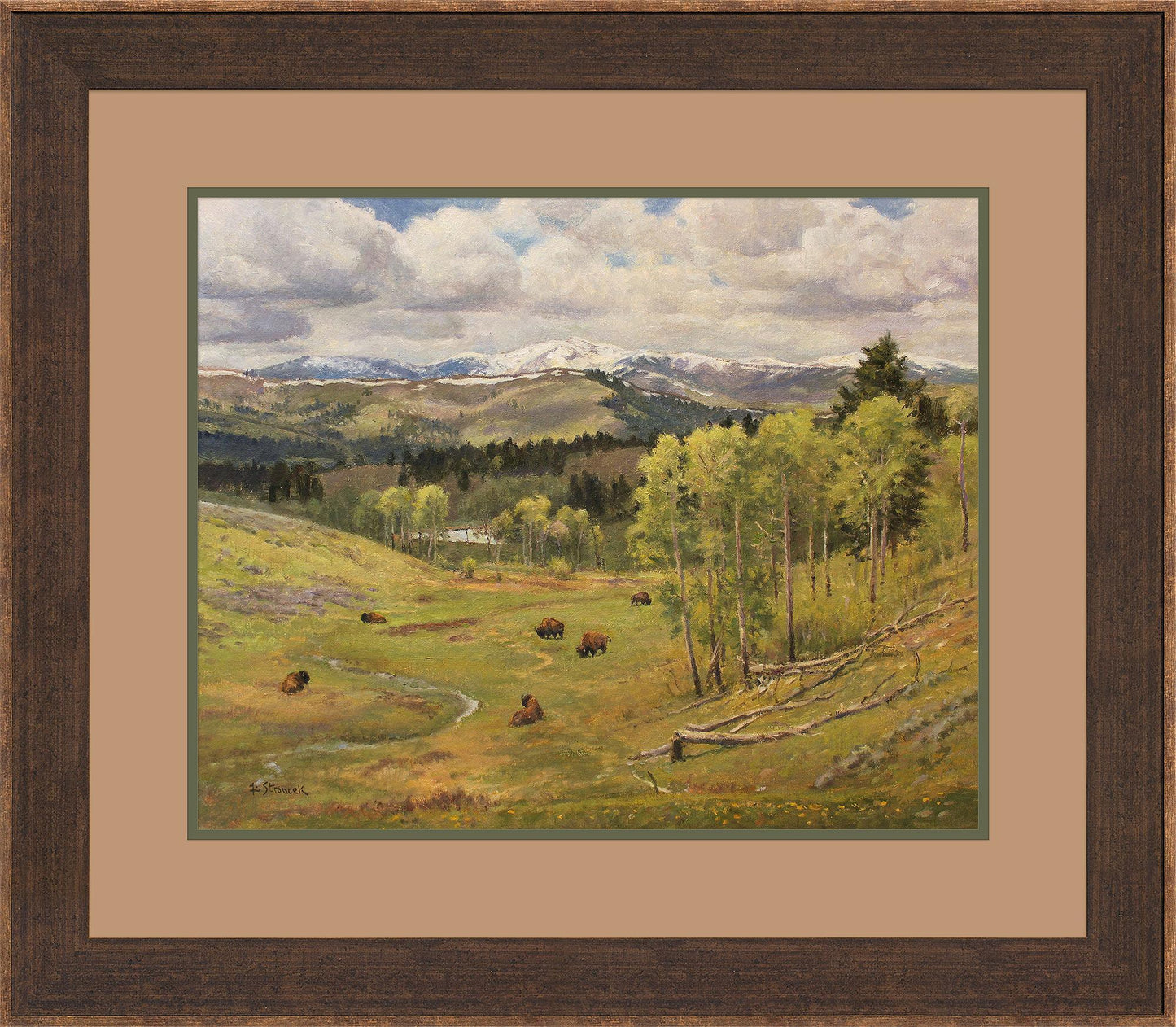 View From Grizzly Meadows-Bison Framed Limited Edition Print - Wild Wings