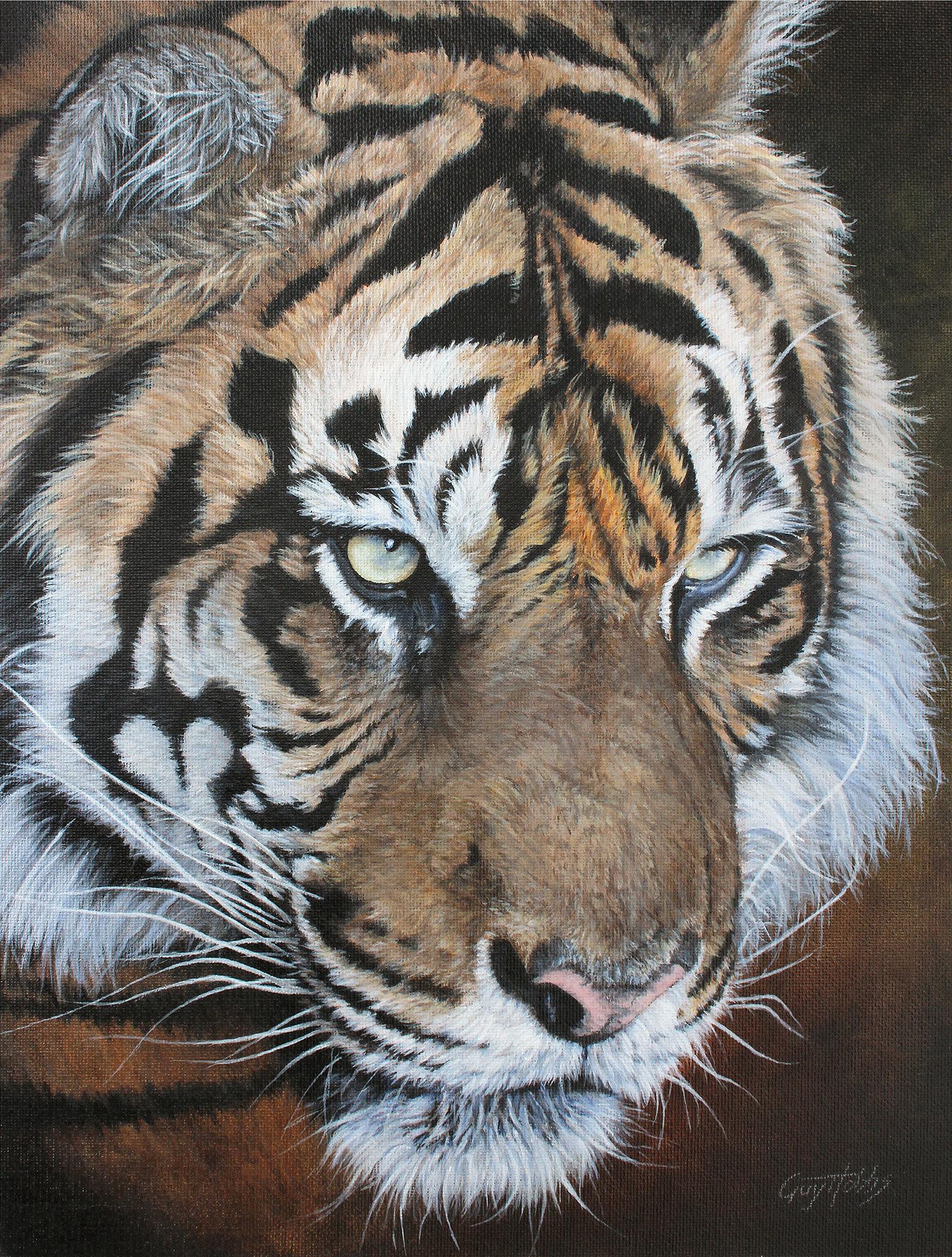 Fearful Symmetry—Tiger Limited Edition Paper Print - Wild Wings