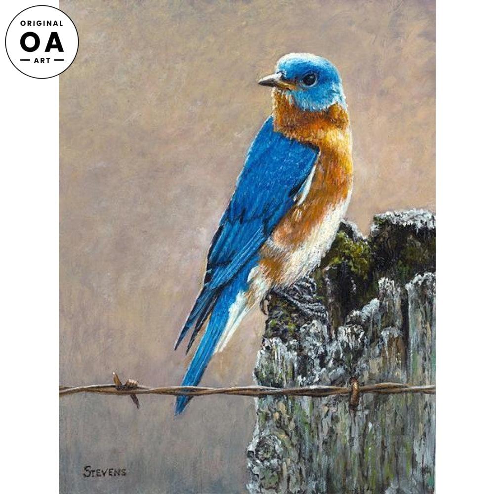 Fenceline Sentinel—Eastern Bluebird Original Oil Painting - Wild Wings