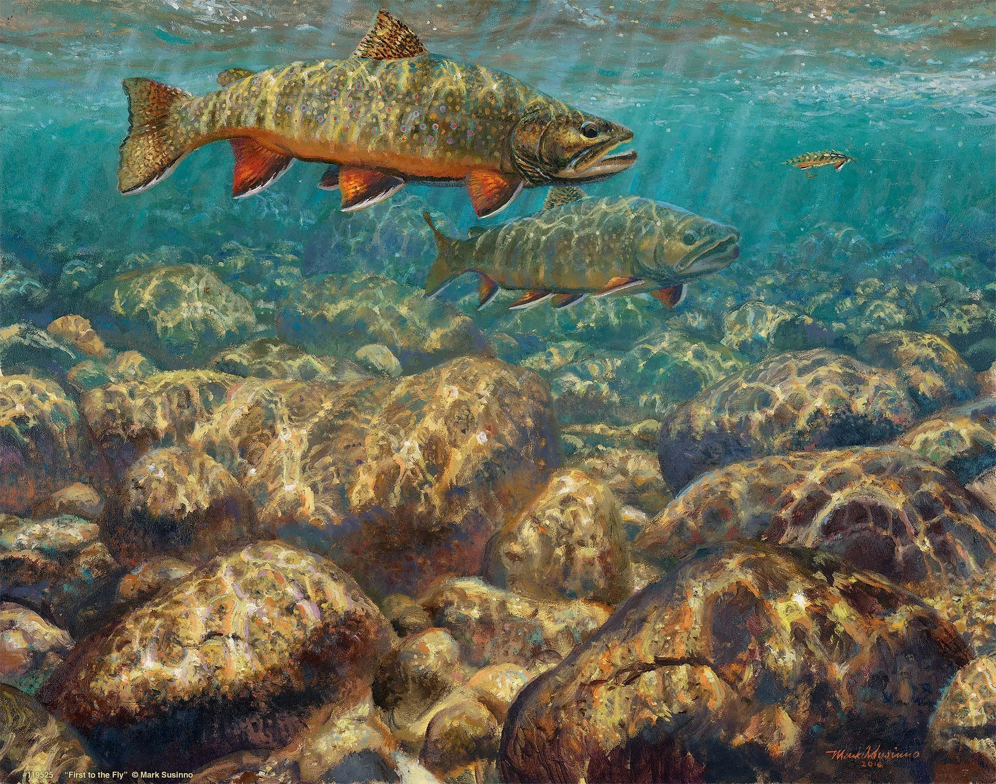 First to the Fly-Brook Trout Art Print Collection – Wild Wings