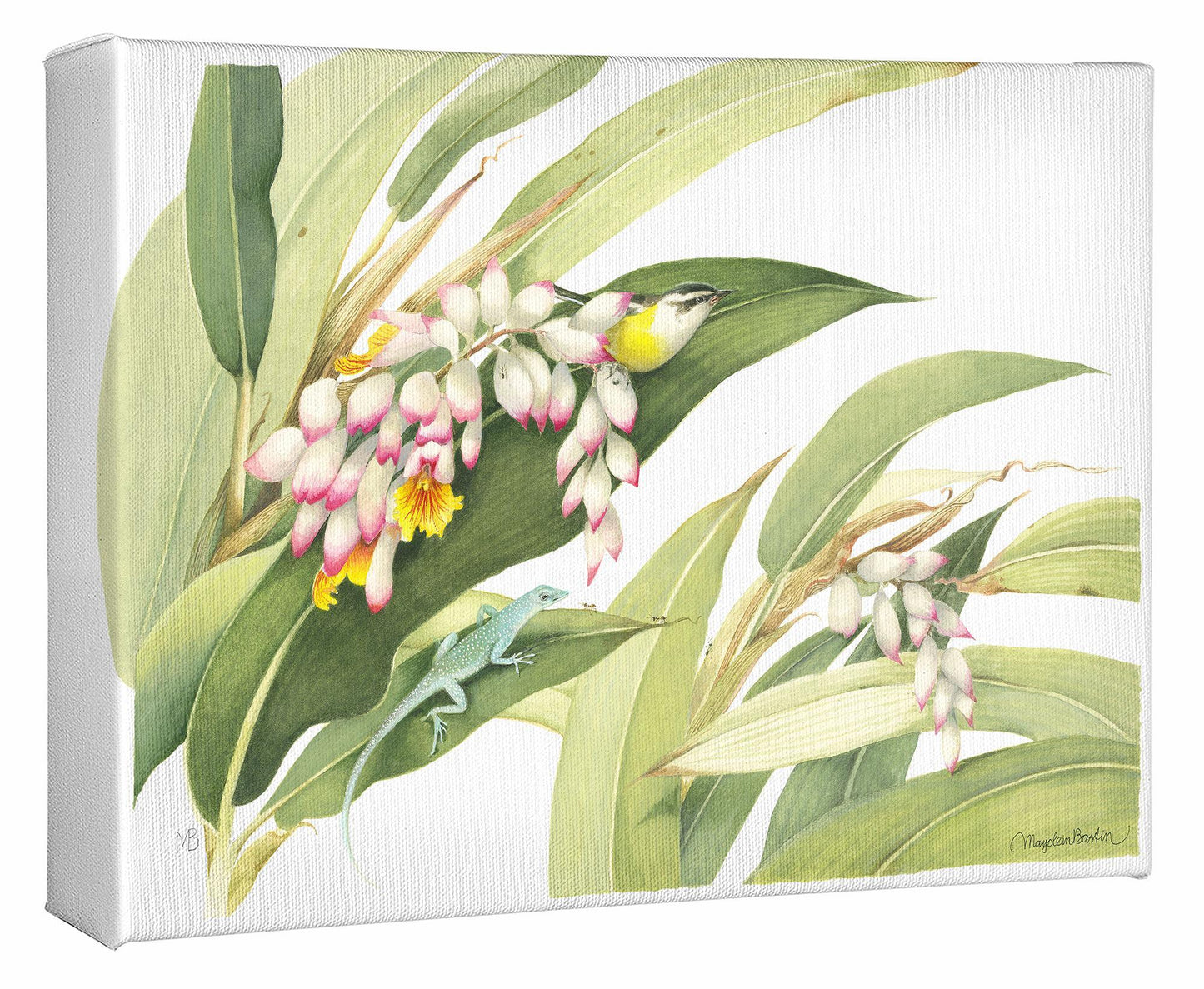 Flowering Ginger Plant Gallery Wrapped Canvas - Wild Wings