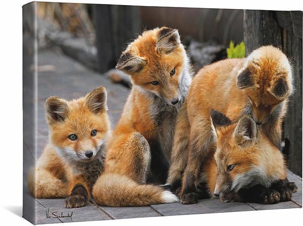 Four Kits Gallery Wrapped Canvas - Wild Wings