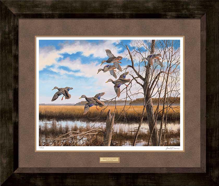 Pride of the East—Black Ducks Art Collection - Wild Wings