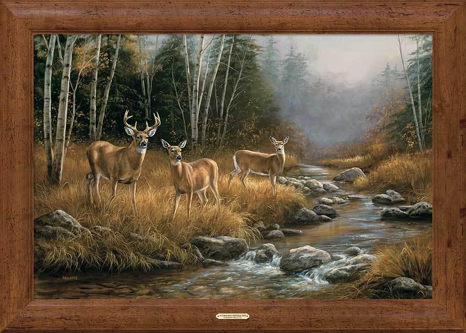 October Mist—Whitetail Deer Framed Gallery Canvas - Wild Wings