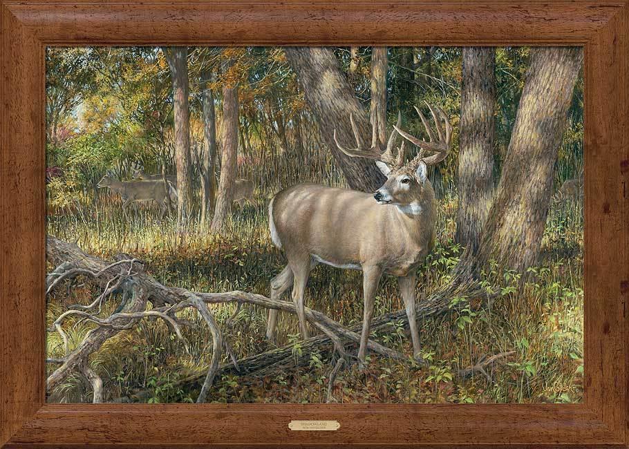 Shadowland—Deer Framed Gallery Canvas - Wild Wings