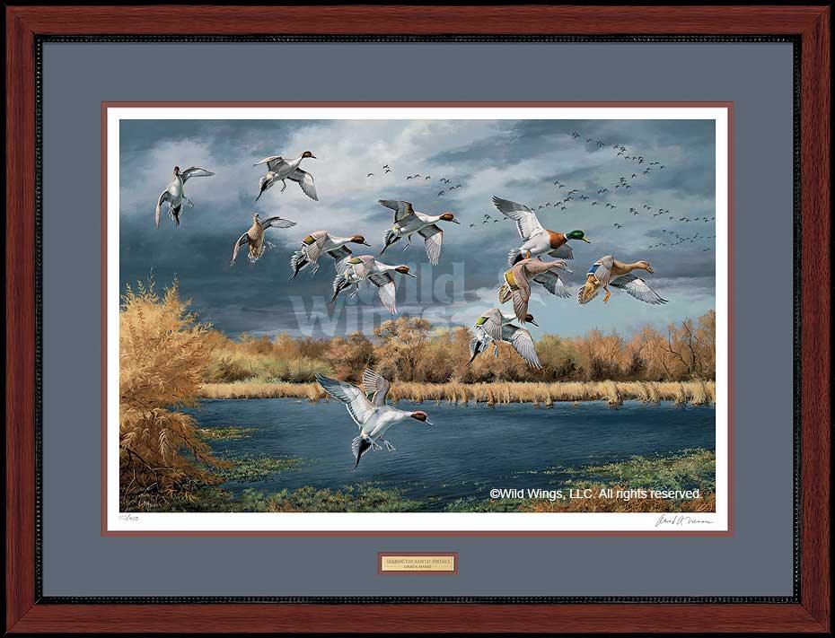 Sharing the Habitat—Ducks Art Collection - Wild Wings