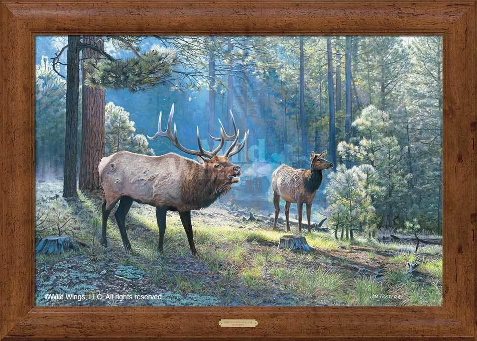 Spirited Exchange—Elk Framed Gallery Canvas - Wild Wings