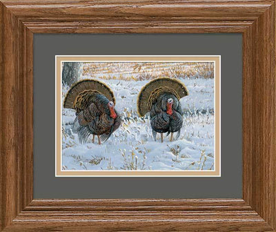 Snow & Bluster—Turkeys Art Collection - Wild Wings