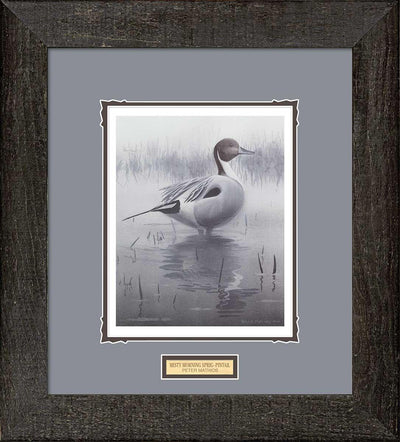 Misty Morning Sprig—Pintail Art Collection - Wild Wings