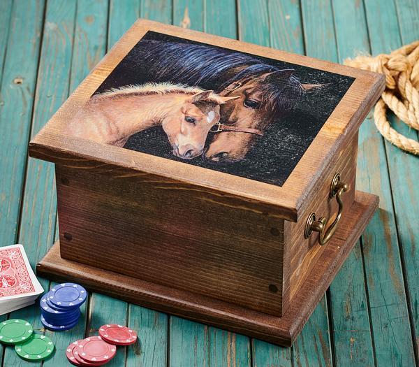 Gentle Touch—Horse Storage Chest - Wild Wings