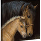 Gentle Touch—Horses Gallery Wrapped Canvas - Wild Wings