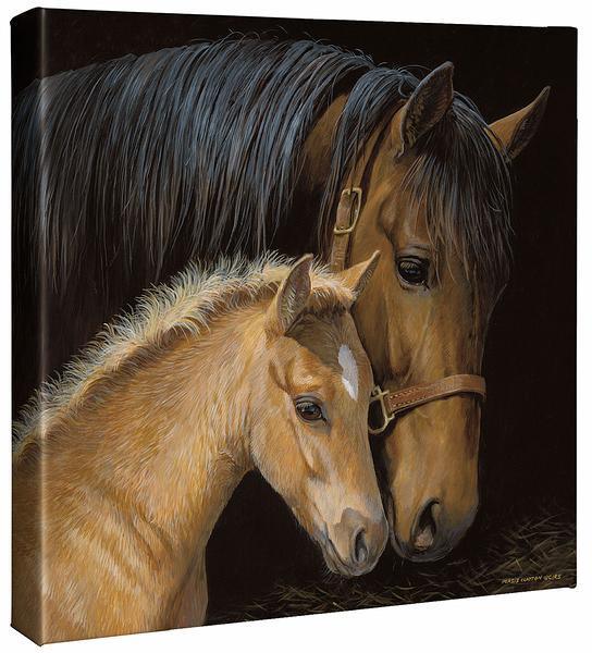 Gentle Touch—Horses Gallery Wrapped Canvas - Wild Wings
