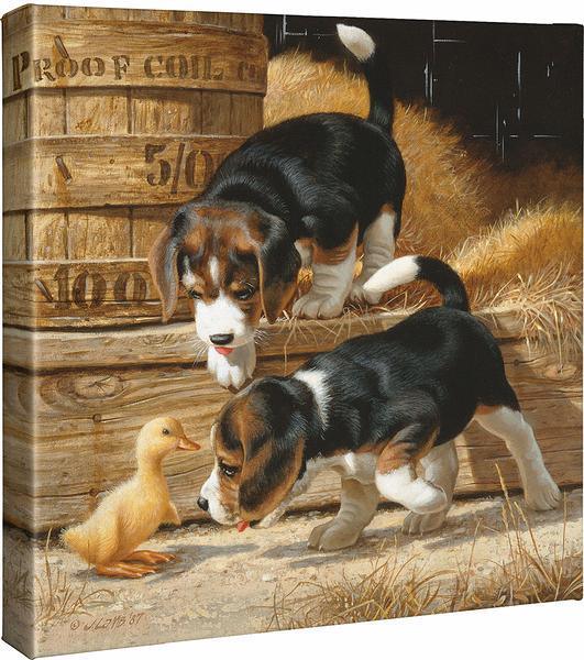 Getting Acquanited—Beagles Gallery Wrapped Canvas - Wild Wings