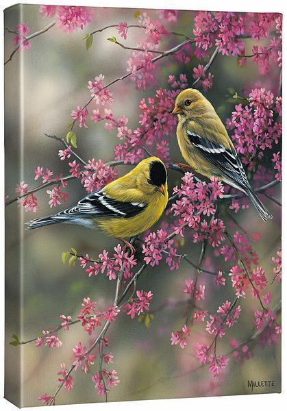 Goldfinch & Redbud Gallery Wrapped Canvas - Wild Wings