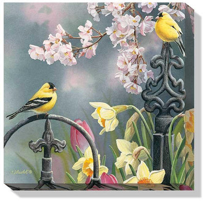 Victorian Seasons; Spring—Goldfinch Art Collection - Wild Wings