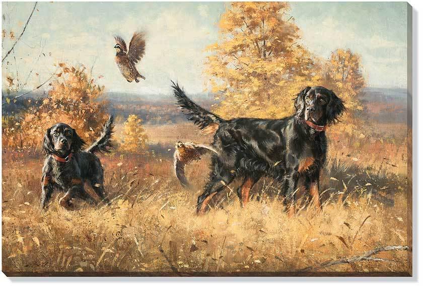 Dare and Dash—Gorden Setters Wrapped Canvas - Wild Wings