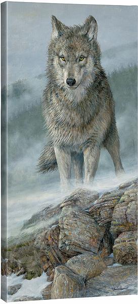 Gray Wolf Gallery Wrapped Canvas - Wild Wings