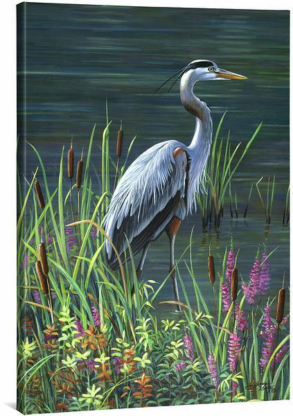 Great Blue Heron Gallery Wrapped Canvas - Wild Wings