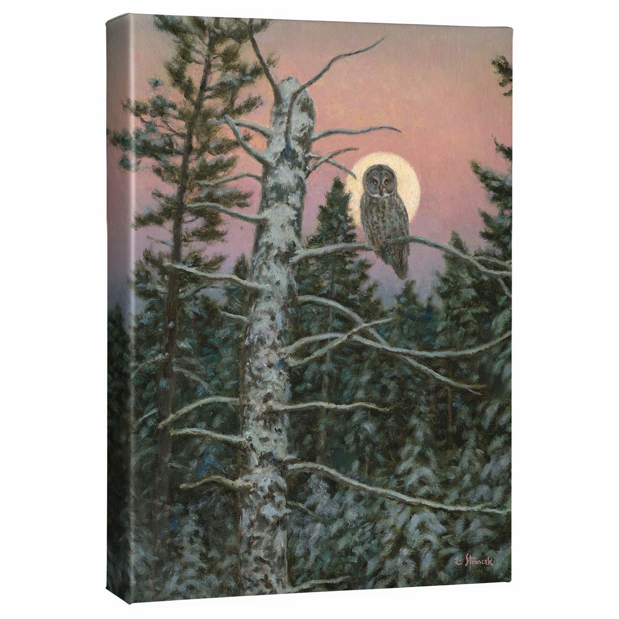 Great Gray Hunter Gallery Wrapped Canvas - Wild Wings