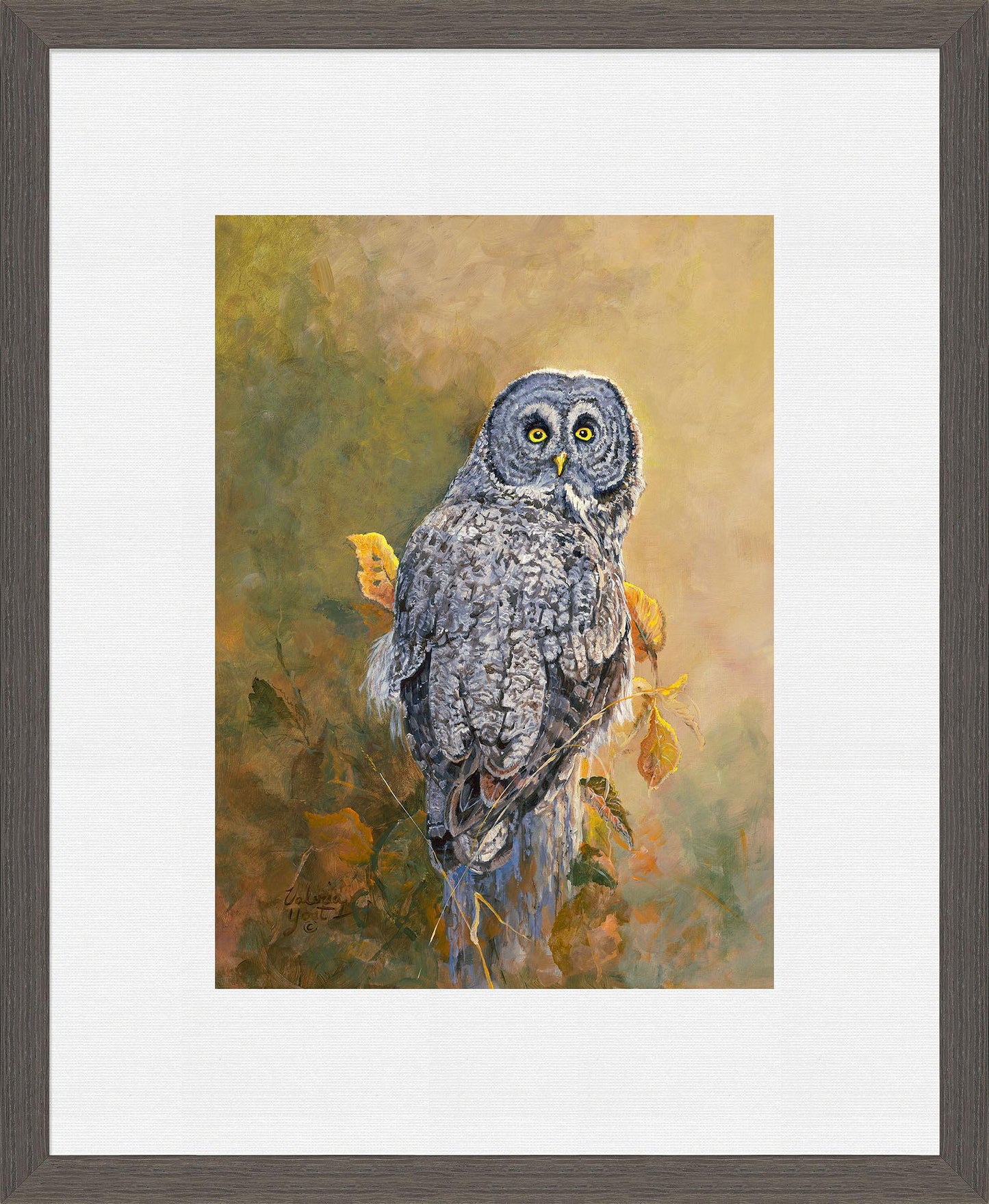 Great Gray Owl Limited Edition Paper Print - Wild Wings