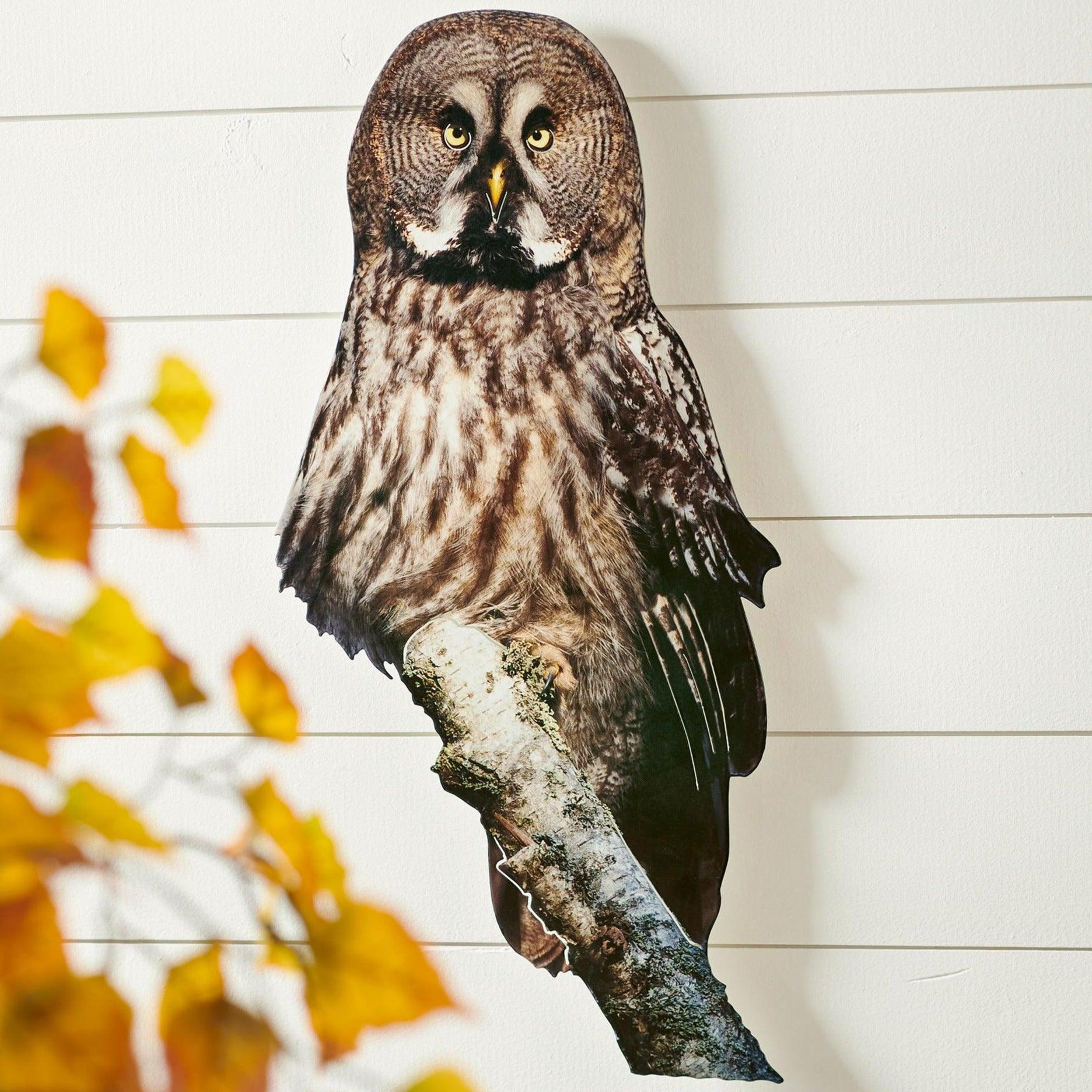Great Gray Owl Metal Wall Art - Wild Wings
