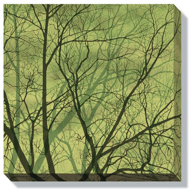 Woodland; Misty Woods—Green Wrapped Canvas - Wild Wings