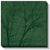 Woodland; Sky—Green Wrapped Canvas - Wild Wings